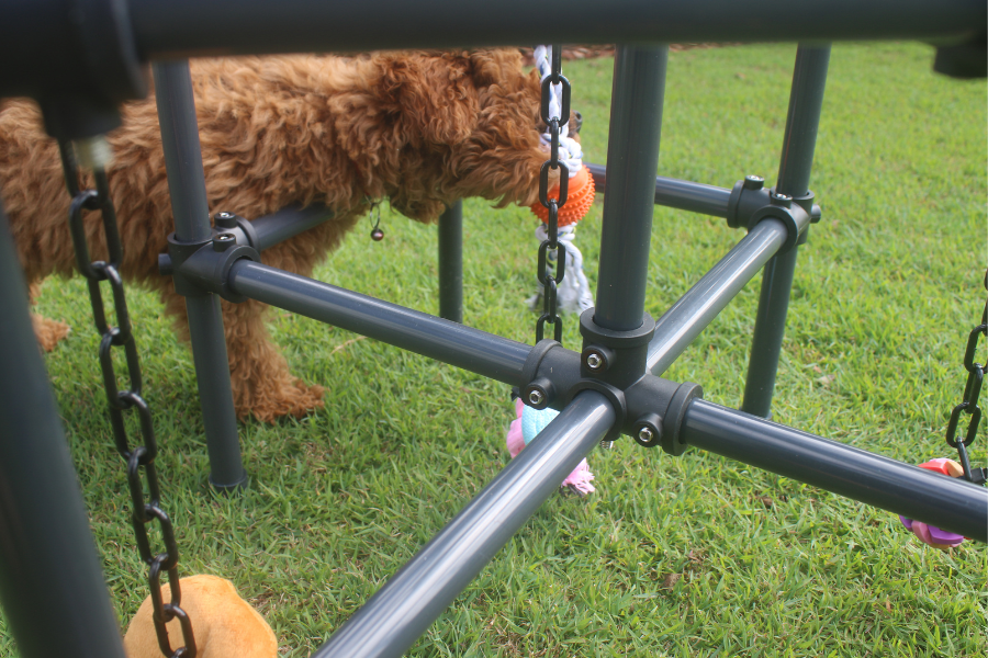 Puppy Play Gyms
