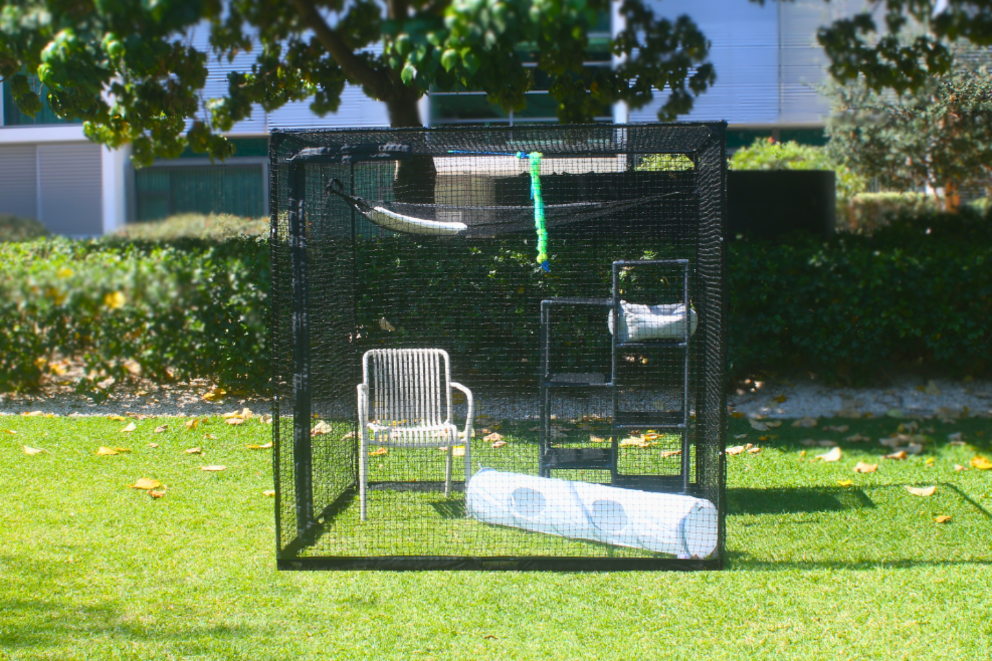 Cat Enclosure 5' 10" set up in yard