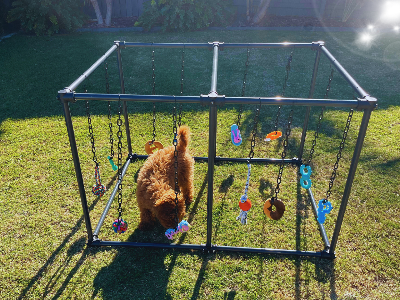 Puppy Play Gym - Explore
