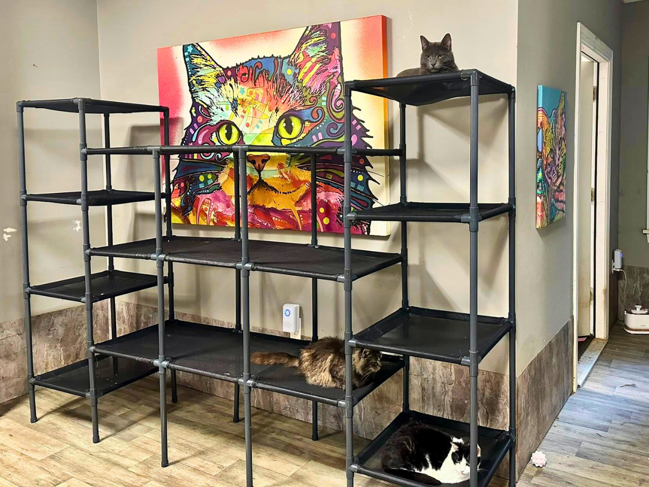 Durable Cat Tower - Vista