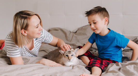 Mom and son patting a cat