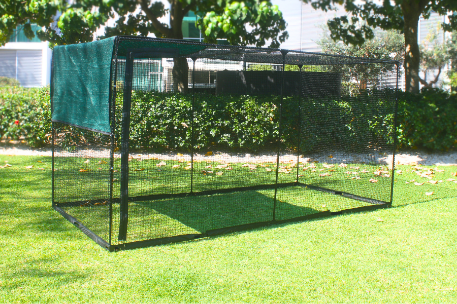 Cat Enclosure on grass in the sun