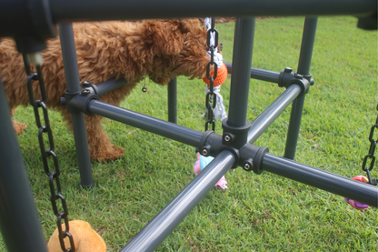 Puppy Play Gyms