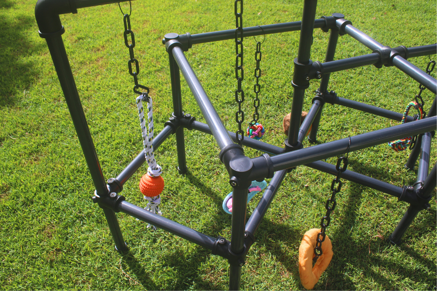 Puppy Play Gym  - Lunar