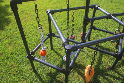 Puppy Play Gym  - Lunar