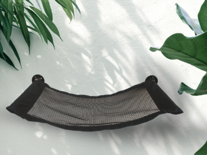 Outdoor Cat Hammock on wall 