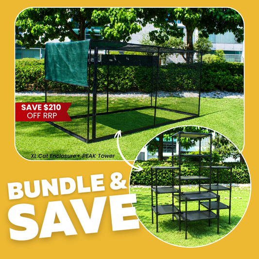 Bundle Offer | XL & Peak