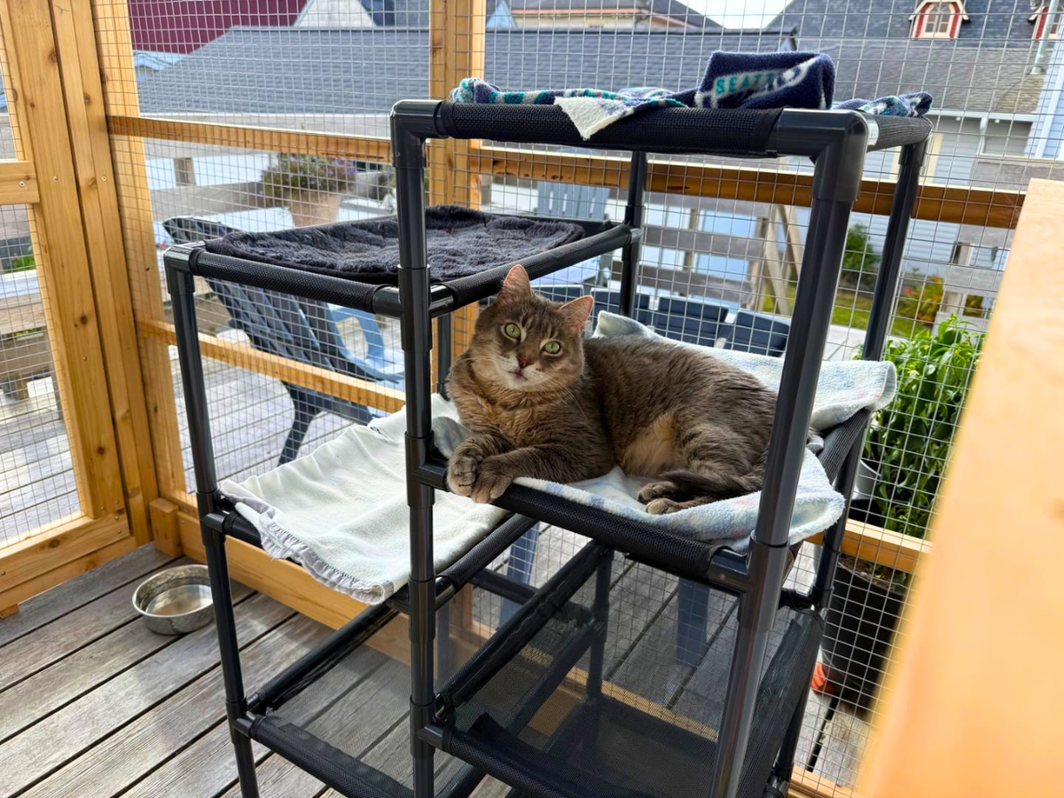Durable Cat Tower - Haven