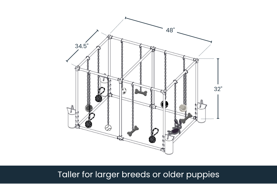 Puppy Play Gym  - Explore