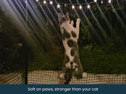 Portable Cat Enclosure