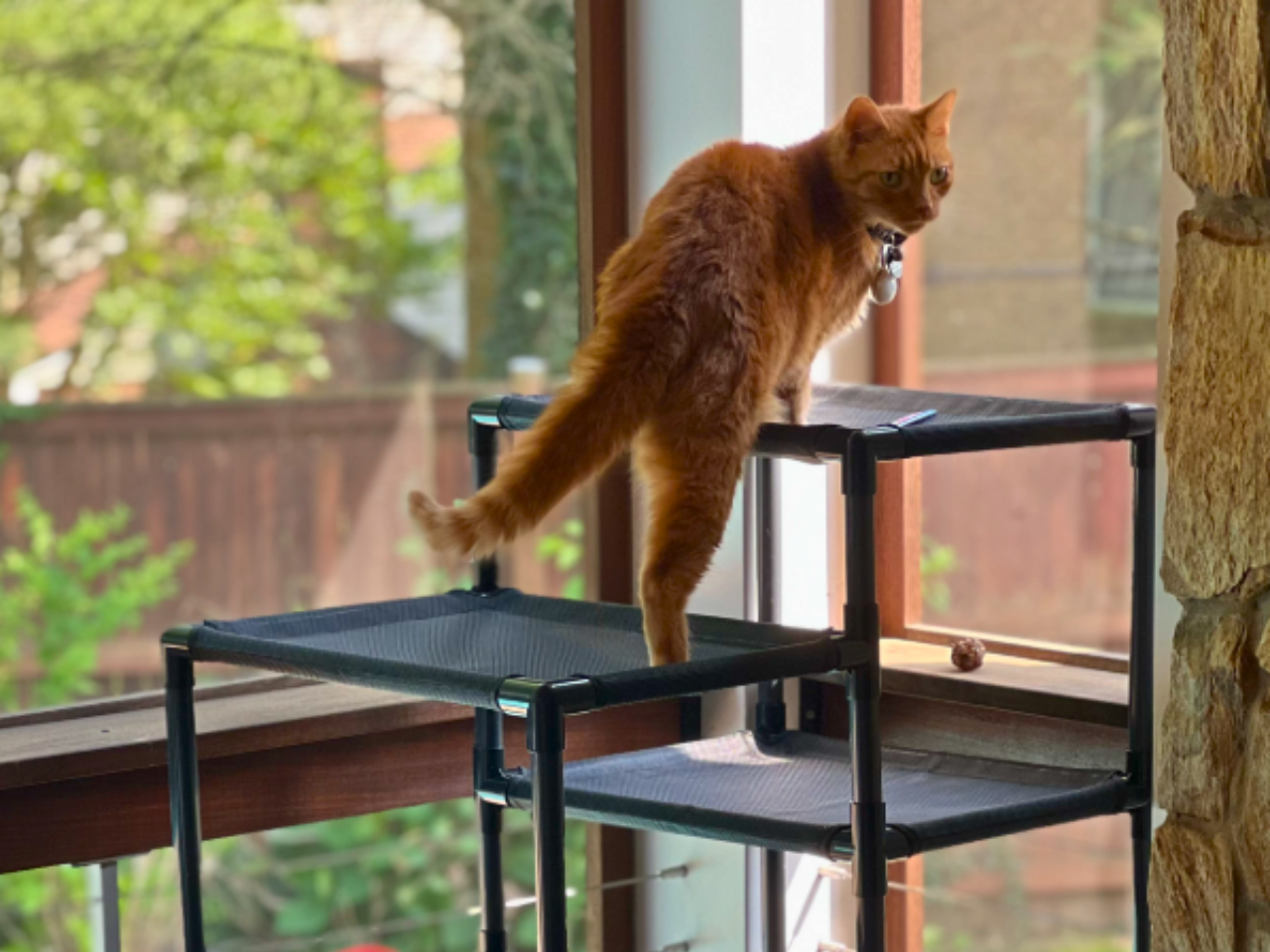 Durable Cat Tower - Haven