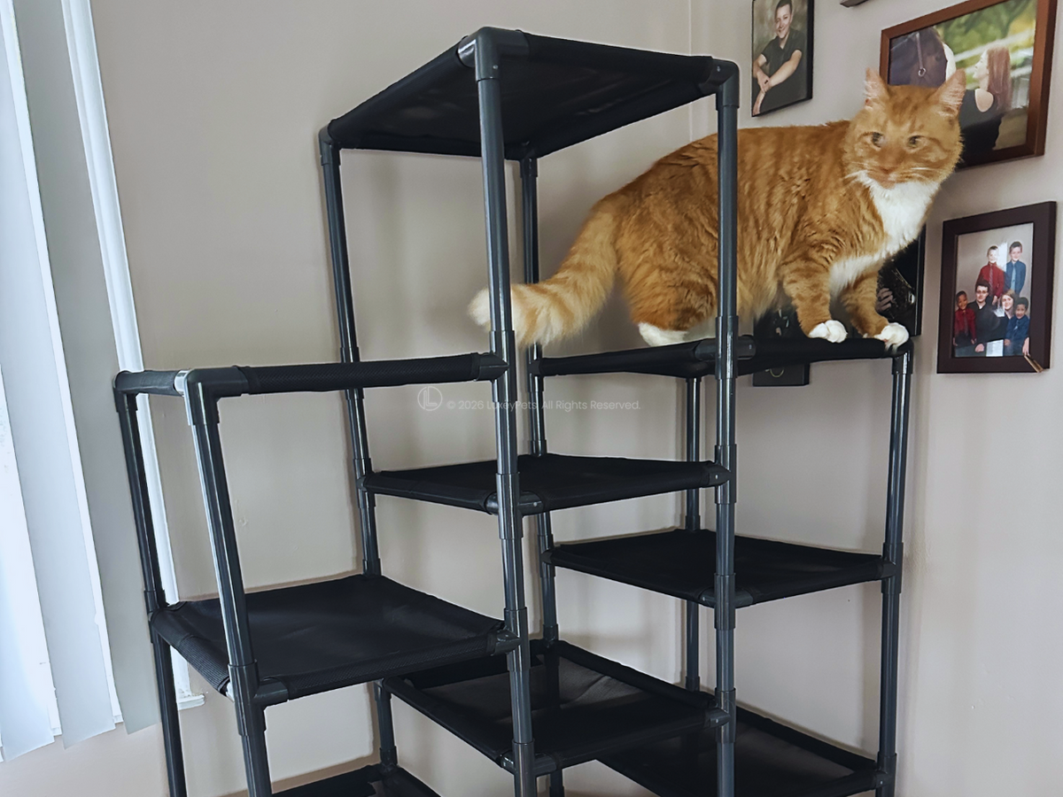 Durable Outdoor Cat Tower - SkyRise | LuxeyPets Durable Outdoor Cat Tower - SkyRise | LuxeyPets