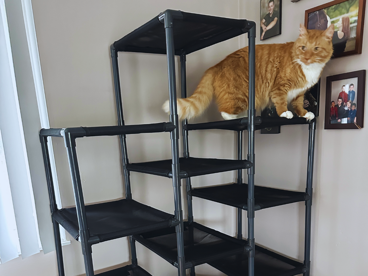 Durable Cat Tower - SkyRise