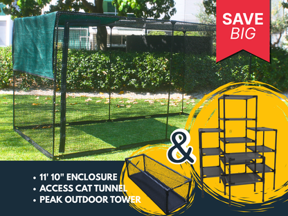 Peak Explorer 11'10" Bundle
