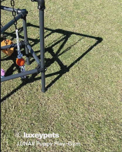 Puppy Play Gyms