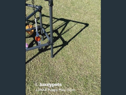 Puppy Play Gym  - Lunar