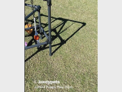 Puppy Play Gym  - Lunar