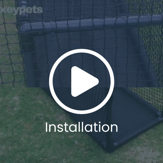 Cat Tunnel on Grass with text "assemble Tunnel"