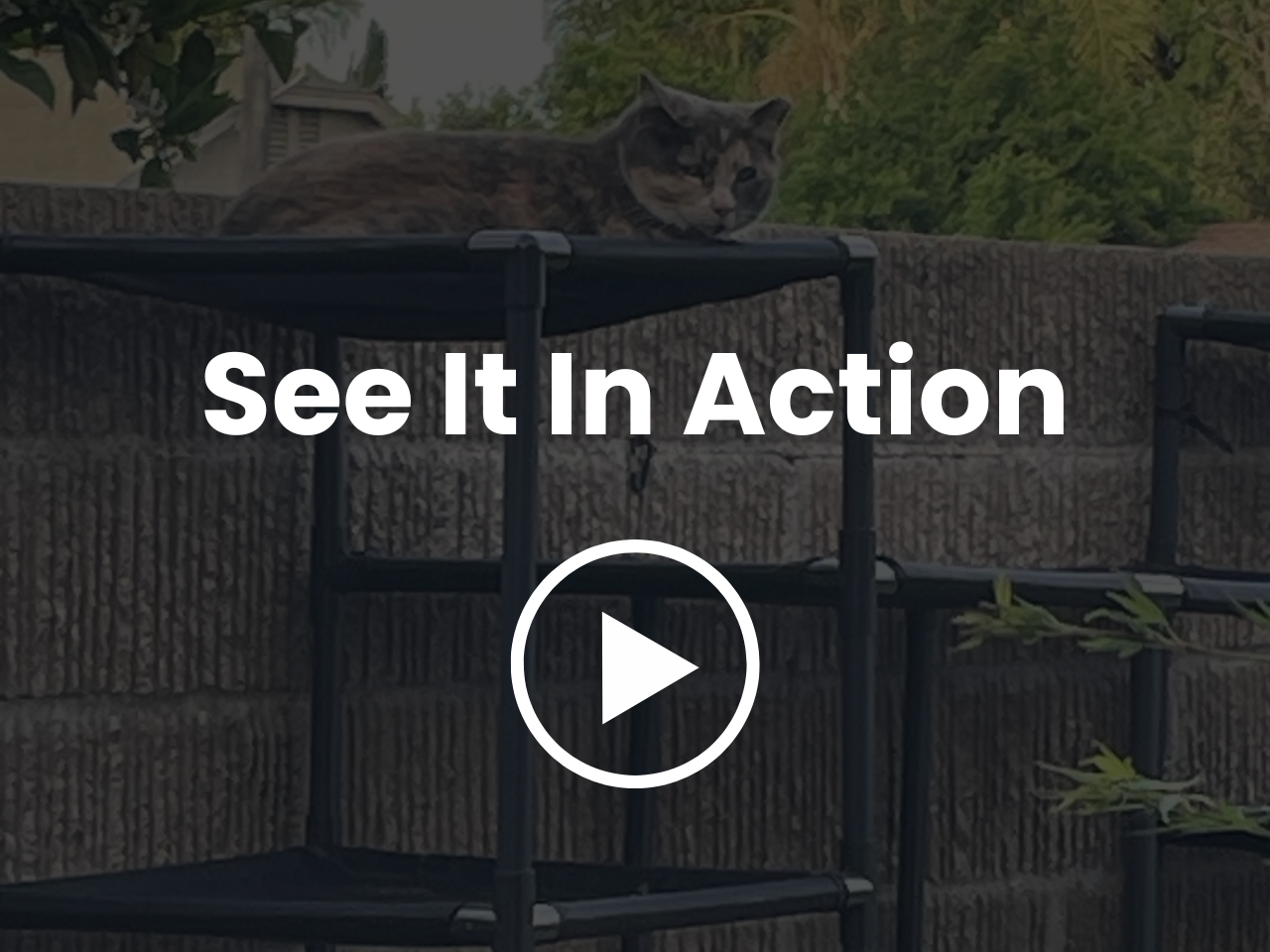 Luxeypets Vista Cat Tower set up in a grass field outdoors 
