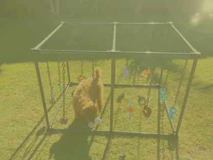 LuxeyPets Puppy Play Gym (Explore) Set up on grass with puppy playing 